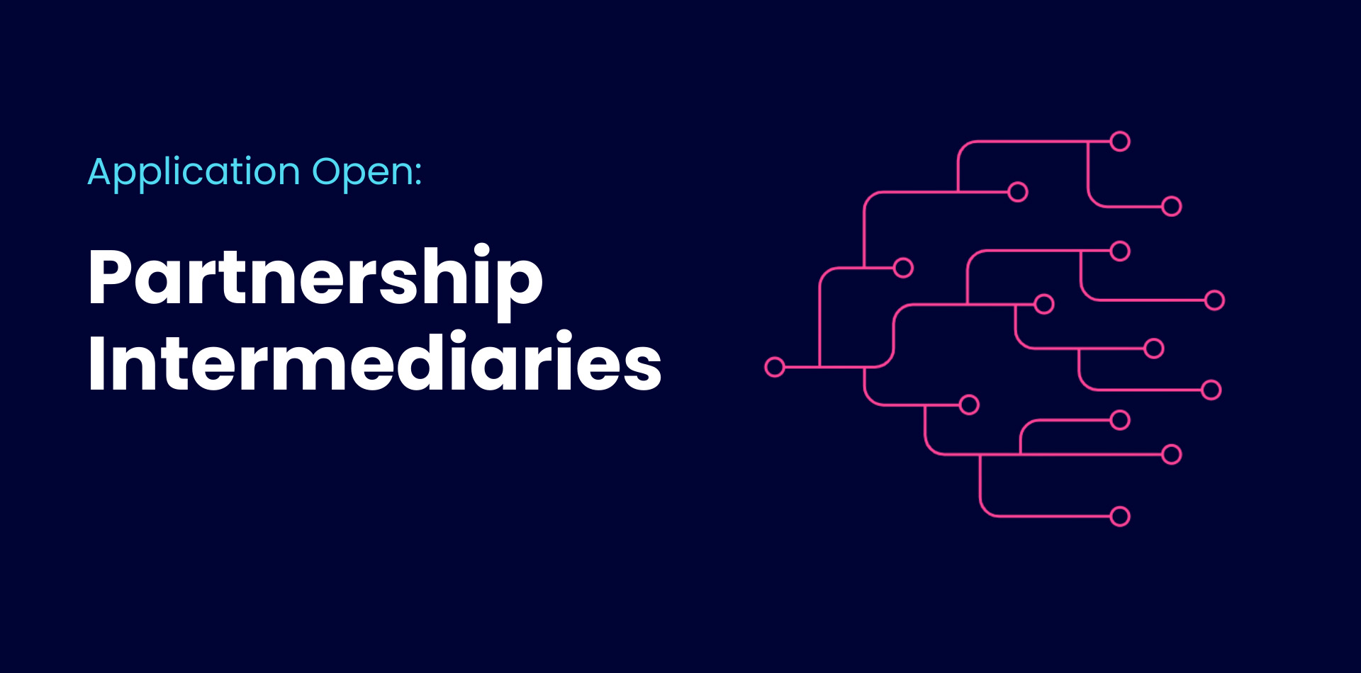 Partnership intermediaries thumbnail